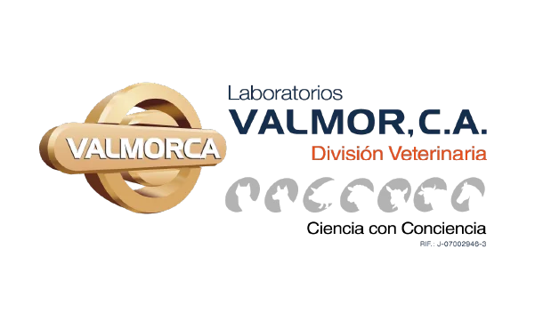 Valmorca